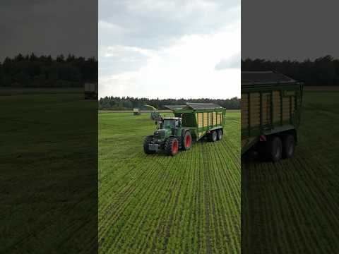 2. Schnitt häckseln 😮‍💨 #2024 #farming #landwirtschaft #agriculture #fendt #farm #viral #agri