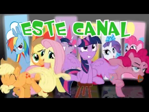 ¡Gracias!-MLP[RANDOM]