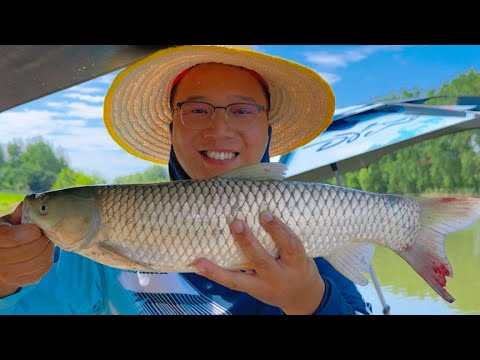 闷杆钓法，专攻强流水！在不起眼的野河，也能钓到草鱼！