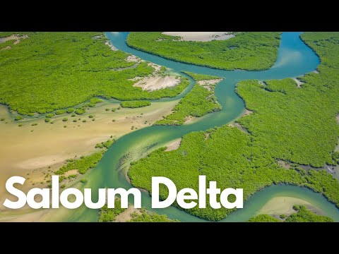 Exploring the Wonders of Saloum Delta, Senegal