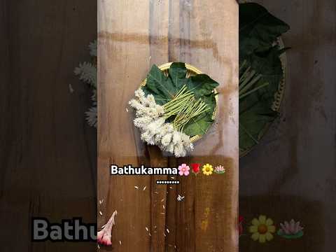 Bathukamma festival 🌸🌼🪷🌹 #bathukamma #bathukammanewsongs #bathukammadjsongs