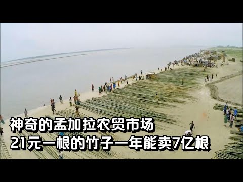 孟加拉神奇的农贸市场，一根竹子卖21元，一年能卖7亿根，纪录片