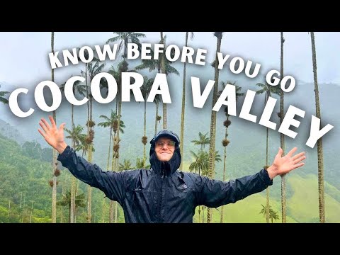 Don't Make This MISTAKE in Cocora Valley | Colombia Vlog 🇨🇴