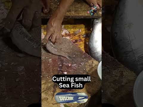 Cutting small sea fish for the customers on the side of Street in Bangladesh