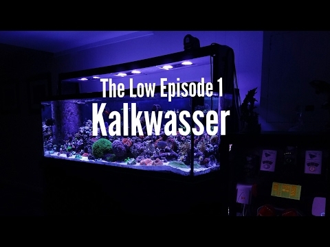 The Low - EP 1 - Kalkwasser