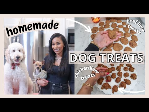 TWO HOMEMADE DOG TREAT RECIPES | HEALTHY AND EASY DOG TREATS // LoveLexyNicole