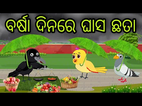 ବର୍ଷା ଦିନରେ ଘାସ ଛତା | Barsha Dinare Ghasa Chhata | Tiki Chadhei Gapa | Odia Chadhei Gapa | New Story