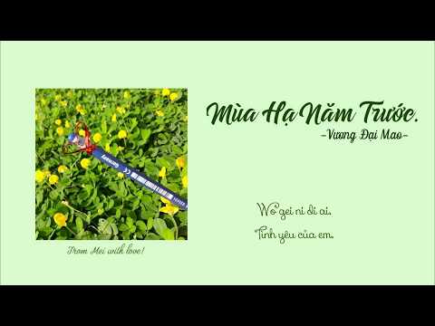 [Vietsub + Pinyin] Mùa Hạ Năm Trước - Vương Đại Mao