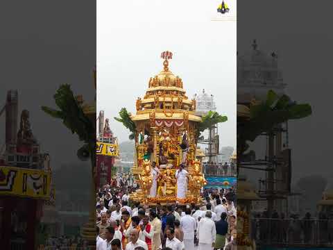 Vaikunta Ekadasi Swarna Rathotsavam held at Tirumala Temple #tirupatibalaji   #vaikundaekadesi