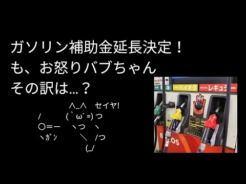 ガソリン補助、年末まで延長へ！｜それでも納得いかない国民の声【バブニュース】