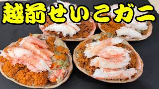 越前セイコガニ(ズワイガニのメス)の味覚を堪能🦀 捌き方・食べ方｜セコガニ・香箱ガニ・越前ガニ・松葉ガニ