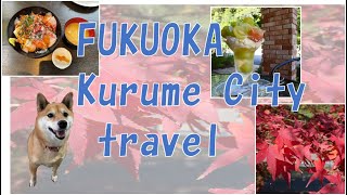 【Fukuoka & Saga JAPAN】Short Trip to Kurume &  Saga