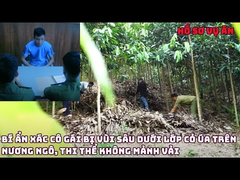 Hồ sơ vụ án: Bí ẩn xác cô gái bị vùi sâu dưới lớp cỏ úa trên nương ngô, thi thể không mảnh vải