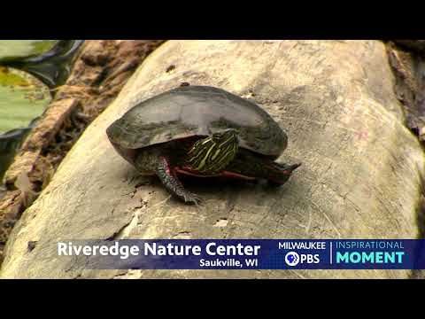 Milwaukee PBS Presents | Inspirational Moments | Riveredge Nature Center