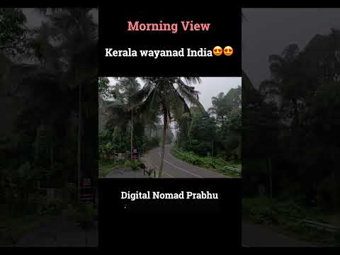 Wayanad Kerala india // Beautiful resort front view // Digital Nomad Prabhu // #shorts #trending