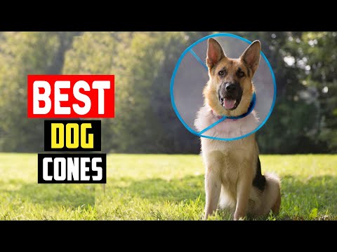 ✅ Top 5 Best Dog Cones in 2023