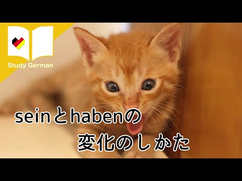 ドイツ語　seinとhabenの変化について