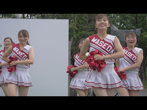 早慶クラシコ2019 サクラ咲ケ 早稲田大学応援部チアリーダーズBIG BEARS 2019