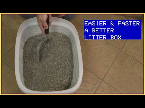 I Switched to This Litter Box, and My Cats Approve, You Will Too