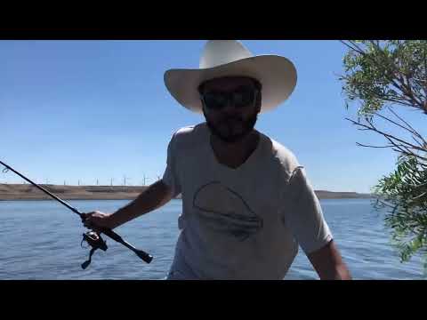 Summer Time Fishin’  (River) (Smallies) #subscribe #fishing #summer