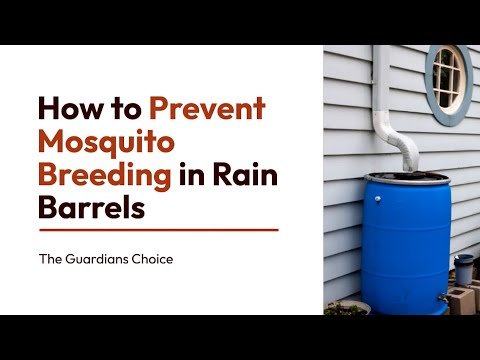 Stop Mosquito Breeding! How to Prevent Mosquitoes in Rain Barrels | The Guardian's Choice