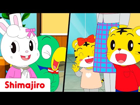 Manners in Elevators | Learn good mannes with Shimajiro | Kids songs & Nursery Rhymes