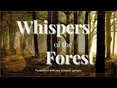 🌳Whispers of the Forest / Audiostock Instrumental BGM