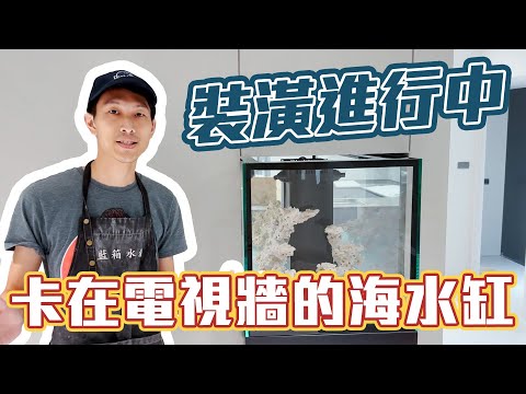 【藍箱水族】電視牆內的魚缸！裝潢過程施工全紀錄~台中北屯糯米哥魚缸！