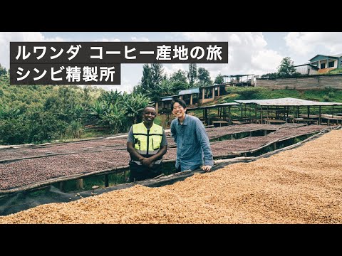 ルワンダのシンビ精製所でスペシャルティコーヒーができるまで