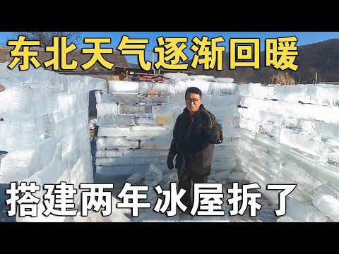 东北天气逐渐回暖，把搭了两年的冰屋拆了，两年搭建半天就拆完了【环华行913】