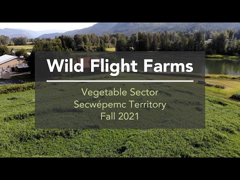 Organic BC Soil Health Series - Wild Flight Farm Virtual Field Day