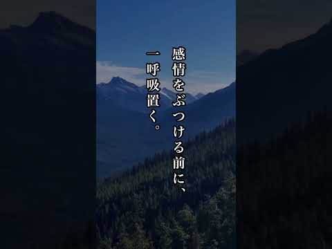 【一生使える】 人間関係の教え #名言 #心に響く言葉 #名言集 #人生