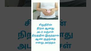 male baby symptoms in tamil #boybabyorgirlbaby #boybabysymptoms #pregnancy