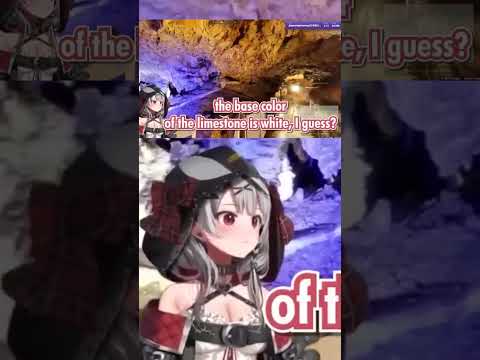 Geoguessr Date With Sakamata Chloe [ Hololive English Sub Shorts ] #shorts