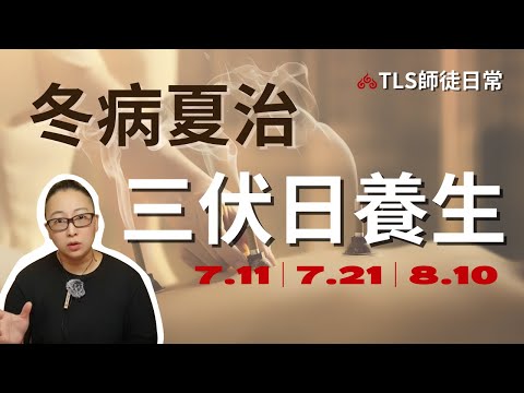 三伏日養生 ‧ 2021辛丑年重點｜居家保健、精油、食療、艾灸｜另有老貓老狗也適合的好上手養生資訊