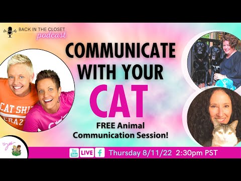 Free Animal Communication Sessions! Chat With Your Cat! | Back In The Closet | Two Crazy Cat Ladies