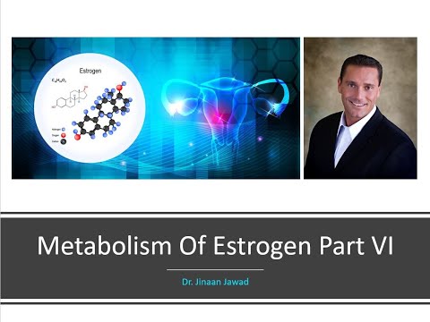 Metabolism Of Estrogen Part VI:  Foods That Lower Estrogen