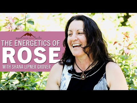 The Energetics of Rose with Shana Lipner Grover