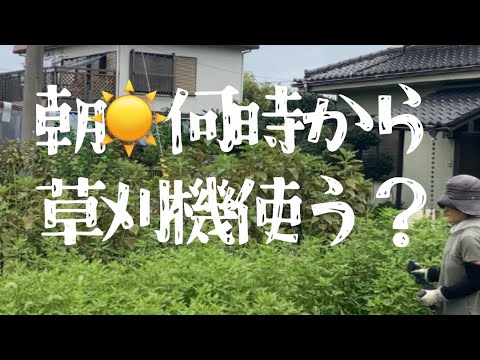 迷惑？草刈機の音問題#草刈機#家庭菜園