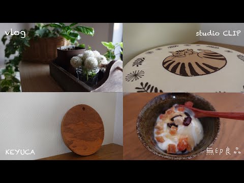 日用雑貨など購入品のご紹介🧺🌿｜vlog