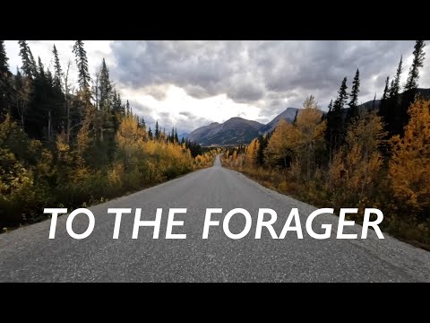 Tom Rosenthal - To The Forager (Lyrics)