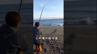 #秋鮭釣り #北海道釣り #shorts