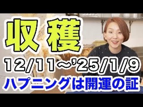 収穫を受け取る52日間🌈 財運最強の13日間も💰✨ 2024/12/11〜2025/1/9マヤ暦黄色い城シーズン解説