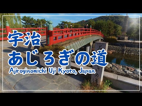 【3min Kyoto】3分で巡る「宇治・あじろぎの道」~Ajiroginomichi Uji,Kyoto Japan~