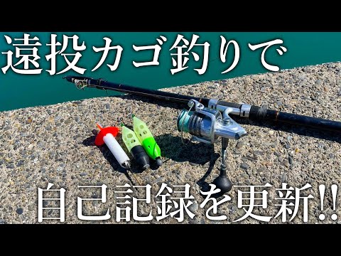 カゴ釣り史上最高級の獲物がヒット！堤防からマダイまで釣れるスピニングタックルの遠投カゴ釣りが面白い！