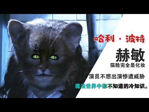 《哈利波特》冷知识：赫敏的猫脸是化妆，演员不想出演遭亲人威胁