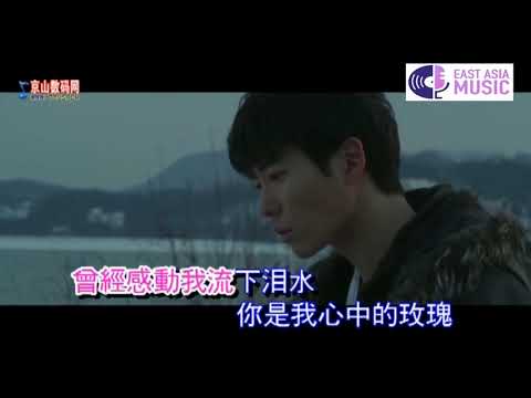 爱你今生不后悔 ~ 雨露 MV