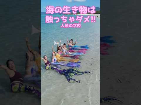 🧜‍♀️なぜ一人で海に潜ってはいけないのか/マーメイドスイム #mermaid #マーメイド #人魚