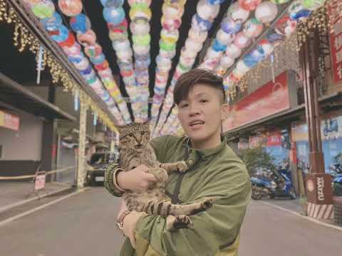 跚宅一生，重生日