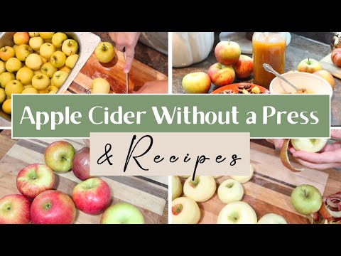 DIY Apple Cider & Other Apple Recipes | Fall Cook With Me | Autumn Recipes